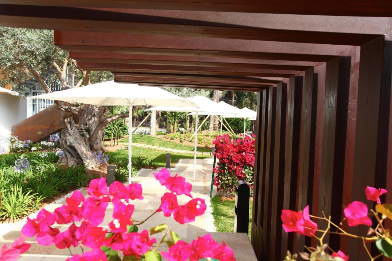 Pure Salt Garonda - Adults Only Hotel Плая де Палма Екстериор снимка The garden of the hotel